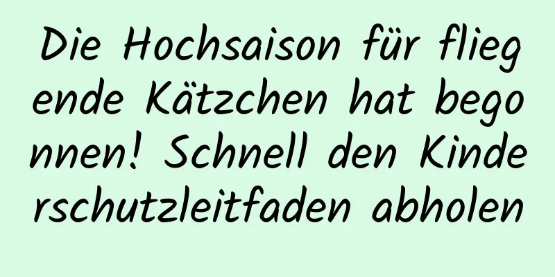 Die Hochsaison für fliegende Kätzchen hat begonnen! Schnell den Kinderschutzleitfaden abholen