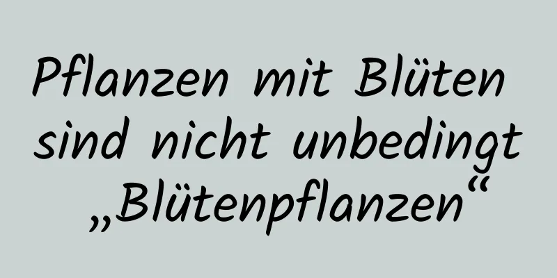 Pflanzen mit Blüten sind nicht unbedingt „Blütenpflanzen“
