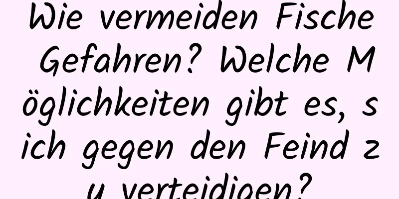 Wie vermeiden Fische Gefahren? Welche Möglichkeiten gibt es, sich gegen den Feind zu verteidigen?