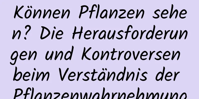 Können Pflanzen sehen? Die Herausforderungen und Kontroversen beim Verständnis der Pflanzenwahrnehmung