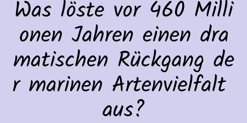 Was löste vor 460 Millionen Jahren einen dramatischen Rückgang der marinen Artenvielfalt aus?