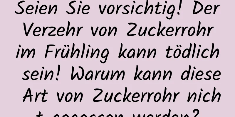 Seien Sie vorsichtig! Der Verzehr von Zuckerrohr im Frühling kann tödlich sein! Warum kann diese Art von Zuckerrohr nicht gegessen werden?
