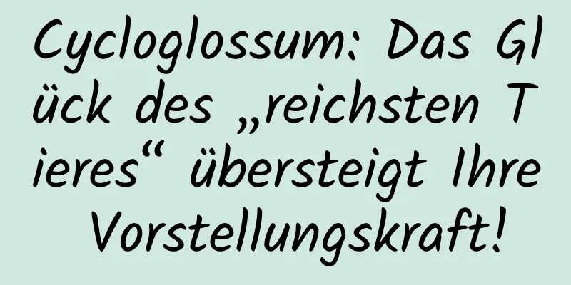 Cycloglossum: Das Glück des „reichsten Tieres“ übersteigt Ihre Vorstellungskraft!