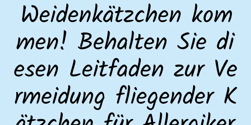 Weidenkätzchen kommen! Behalten Sie diesen Leitfaden zur Vermeidung fliegender Kätzchen für Allergiker