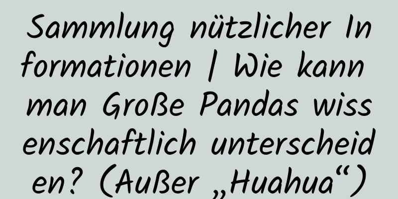 Sammlung nützlicher Informationen | Wie kann man Große Pandas wissenschaftlich unterscheiden? (Außer „Huahua“)