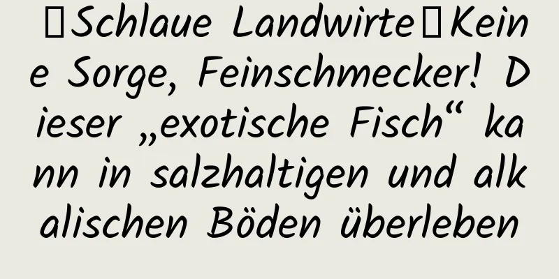 【Schlaue Landwirte】Keine Sorge, Feinschmecker! Dieser „exotische Fisch“ kann in salzhaltigen und alkalischen Böden überleben