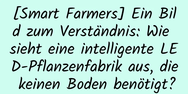 [Smart Farmers] Ein Bild zum Verständnis: Wie sieht eine intelligente LED-Pflanzenfabrik aus, die keinen Boden benötigt?