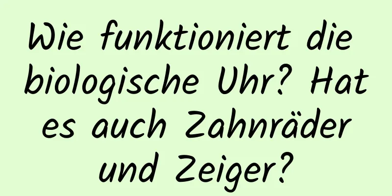 Wie funktioniert die biologische Uhr? Hat es auch Zahnräder und Zeiger?