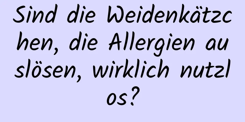 Sind die Weidenkätzchen, die Allergien auslösen, wirklich nutzlos?