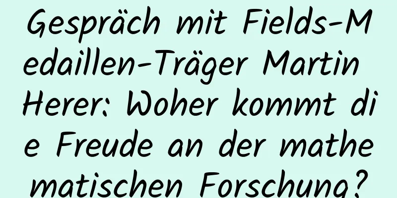 Gespräch mit Fields-Medaillen-Träger Martin Herer: Woher kommt die Freude an der mathematischen Forschung?