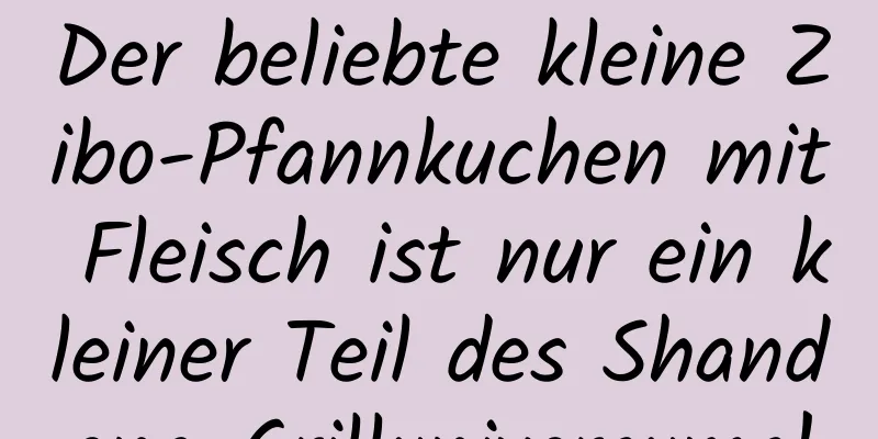 Der beliebte kleine Zibo-Pfannkuchen mit Fleisch ist nur ein kleiner Teil des Shandong-Grilluniversums!