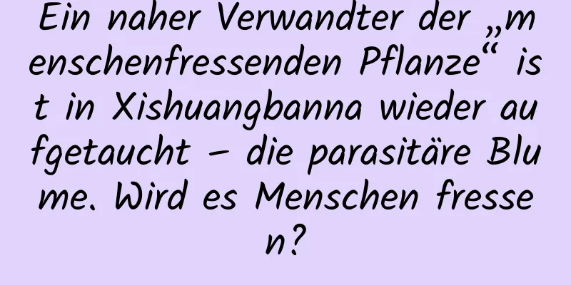Ein naher Verwandter der „menschenfressenden Pflanze“ ist in Xishuangbanna wieder aufgetaucht – die parasitäre Blume. Wird es Menschen fressen?