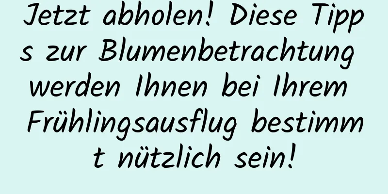 Jetzt abholen! Diese Tipps zur Blumenbetrachtung werden Ihnen bei Ihrem Frühlingsausflug bestimmt nützlich sein!