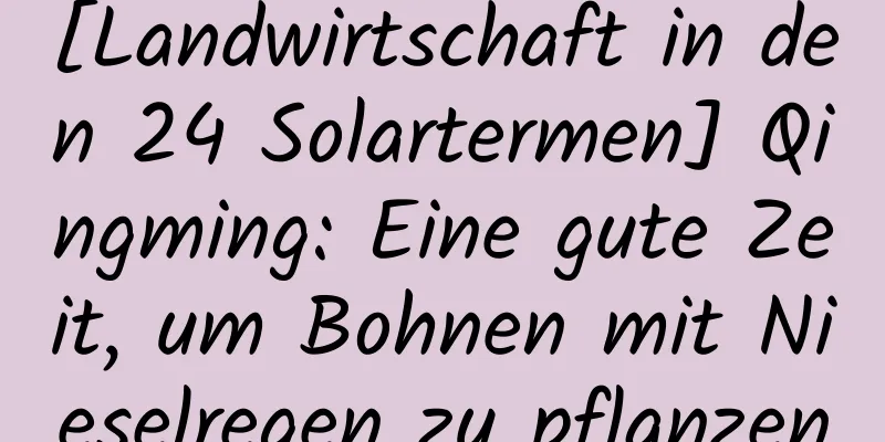 [Landwirtschaft in den 24 Solartermen] Qingming: Eine gute Zeit, um Bohnen mit Nieselregen zu pflanzen