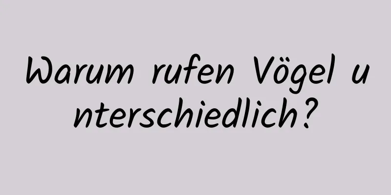 Warum rufen Vögel unterschiedlich?
