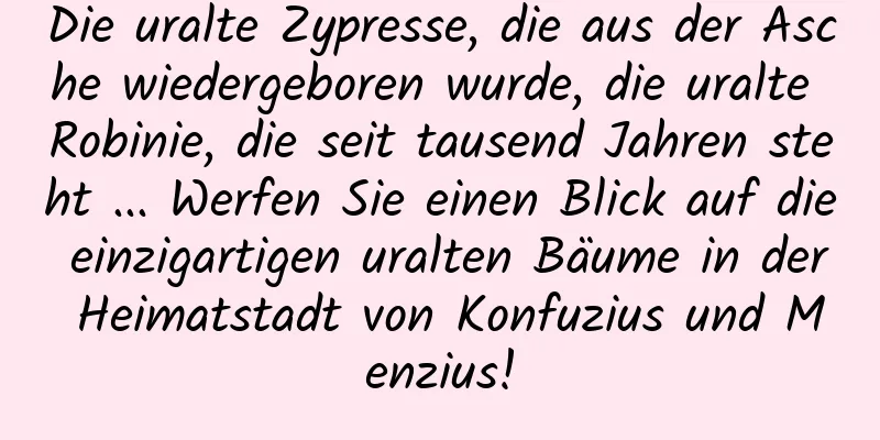 Die uralte Zypresse, die aus der Asche wiedergeboren wurde, die uralte Robinie, die seit tausend Jahren steht ... Werfen Sie einen Blick auf die einzigartigen uralten Bäume in der Heimatstadt von Konfuzius und Menzius!