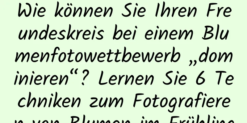 Wie können Sie Ihren Freundeskreis bei einem Blumenfotowettbewerb „dominieren“? Lernen Sie 6 Techniken zum Fotografieren von Blumen im Frühling