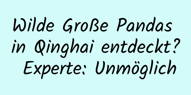 Wilde Große Pandas in Qinghai entdeckt? Experte: Unmöglich