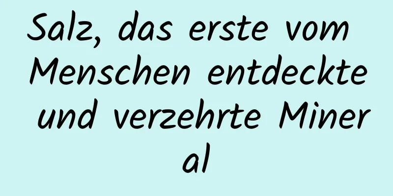 Salz, das erste vom Menschen entdeckte und verzehrte Mineral