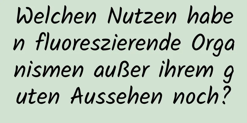 Welchen Nutzen haben fluoreszierende Organismen außer ihrem guten Aussehen noch?