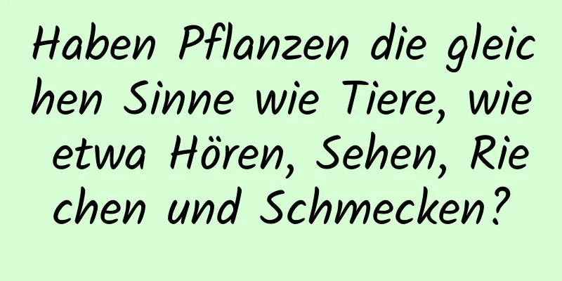 Haben Pflanzen die gleichen Sinne wie Tiere, wie etwa Hören, Sehen, Riechen und Schmecken?