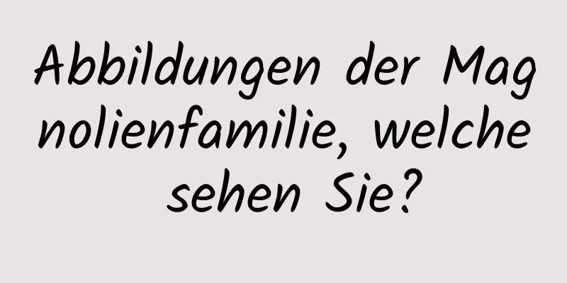 Abbildungen der Magnolienfamilie, welche sehen Sie?