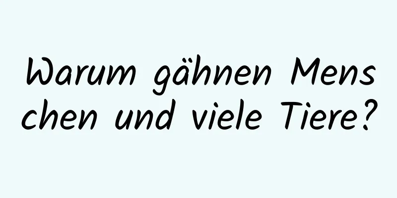 Warum gähnen Menschen und viele Tiere?