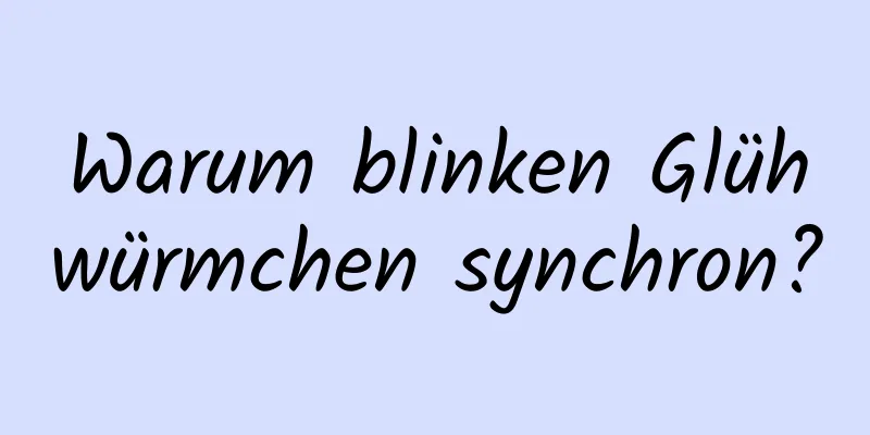 Warum blinken Glühwürmchen synchron?
