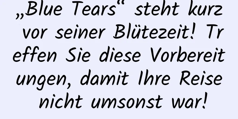 „Blue Tears“ steht kurz vor seiner Blütezeit! Treffen Sie diese Vorbereitungen, damit Ihre Reise nicht umsonst war!