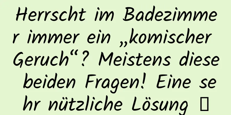 Herrscht im Badezimmer immer ein „komischer Geruch“? Meistens diese beiden Fragen! Eine sehr nützliche Lösung →