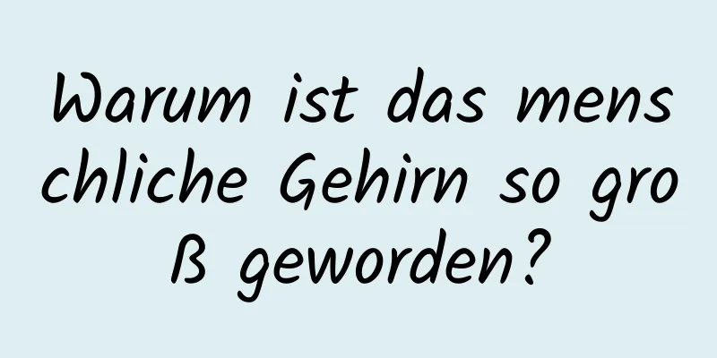 Warum ist das menschliche Gehirn so groß geworden?