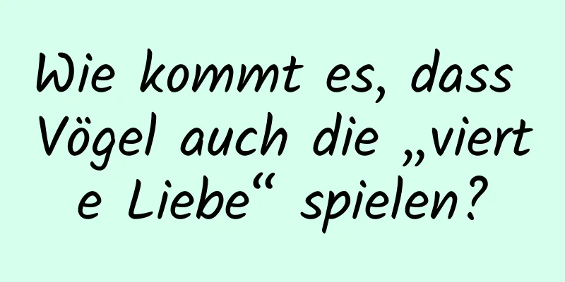 Wie kommt es, dass Vögel auch die „vierte Liebe“ spielen?