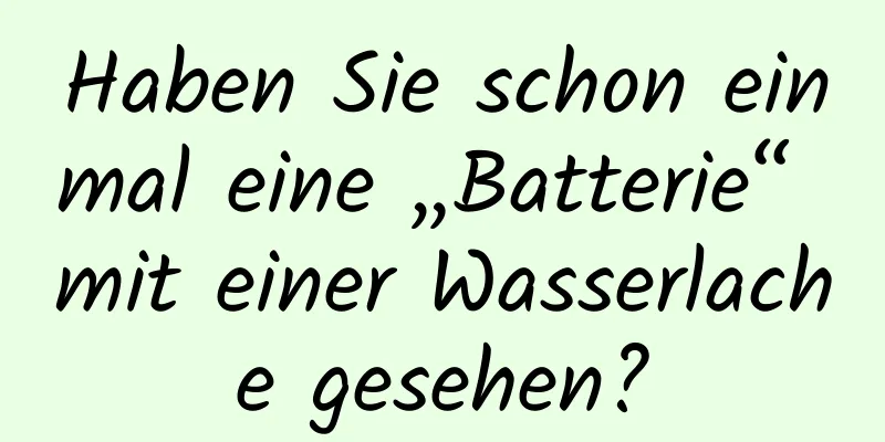 Haben Sie schon einmal eine „Batterie“ mit einer Wasserlache gesehen?