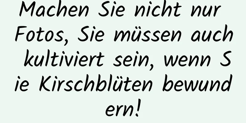 Machen Sie nicht nur Fotos, Sie müssen auch kultiviert sein, wenn Sie Kirschblüten bewundern!