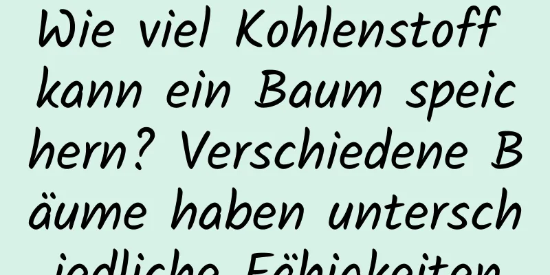 Wie viel Kohlenstoff kann ein Baum speichern? Verschiedene Bäume haben unterschiedliche Fähigkeiten