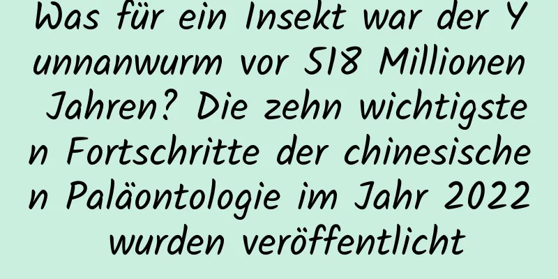 Was für ein Insekt war der Yunnanwurm vor 518 Millionen Jahren? Die zehn wichtigsten Fortschritte der chinesischen Paläontologie im Jahr 2022 wurden veröffentlicht