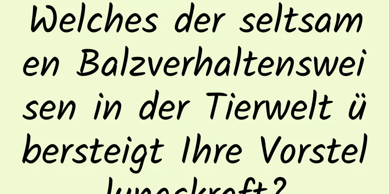 Welches der seltsamen Balzverhaltensweisen in der Tierwelt übersteigt Ihre Vorstellungskraft?