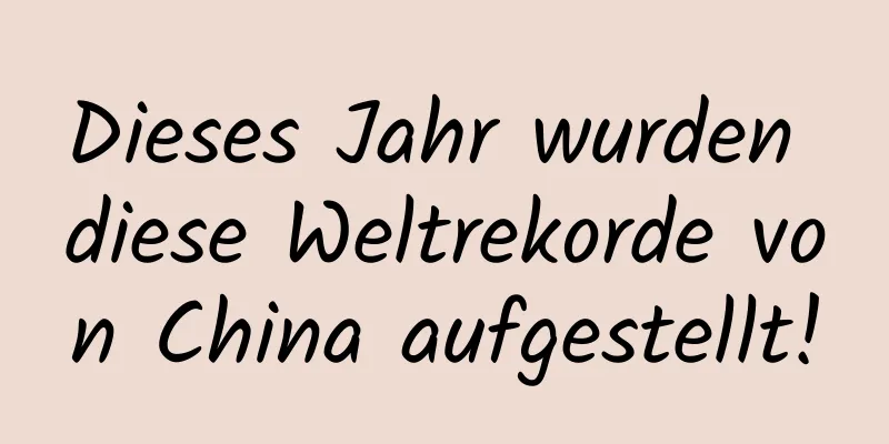 Dieses Jahr wurden diese Weltrekorde von China aufgestellt!