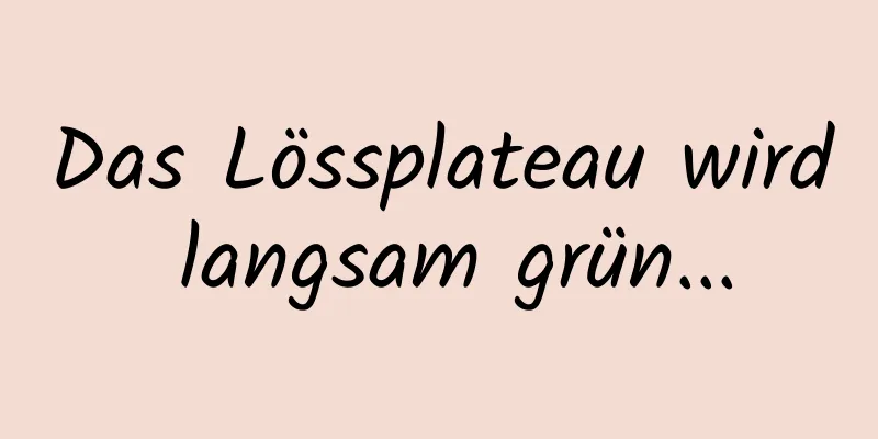 Das Lössplateau wird langsam grün...