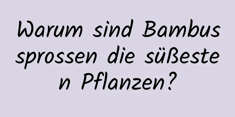 Warum sind Bambussprossen die süßesten Pflanzen?