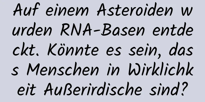 Auf einem Asteroiden wurden RNA-Basen entdeckt. Könnte es sein, dass Menschen in Wirklichkeit Außerirdische sind?