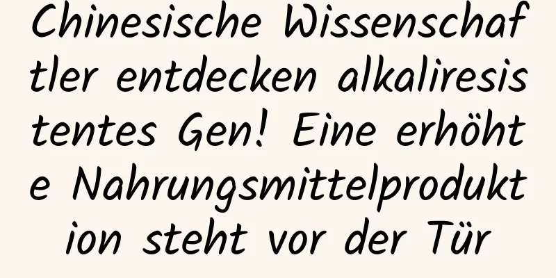 Chinesische Wissenschaftler entdecken alkaliresistentes Gen! Eine erhöhte Nahrungsmittelproduktion steht vor der Tür