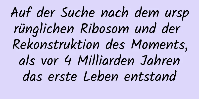Auf der Suche nach dem ursprünglichen Ribosom und der Rekonstruktion des Moments, als vor 4 Milliarden Jahren das erste Leben entstand
