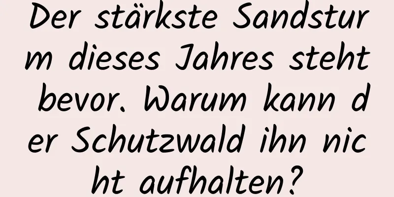 Der stärkste Sandsturm dieses Jahres steht bevor. Warum kann der Schutzwald ihn nicht aufhalten?