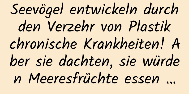 Seevögel entwickeln durch den Verzehr von Plastik chronische Krankheiten! Aber sie dachten, sie würden Meeresfrüchte essen …