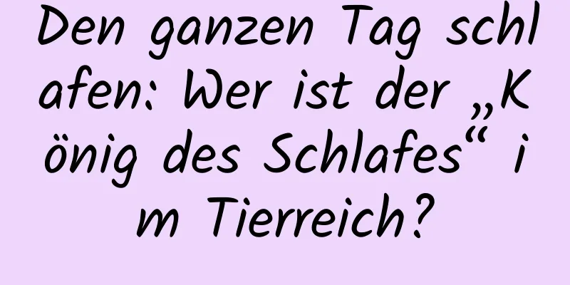 Den ganzen Tag schlafen: Wer ist der „König des Schlafes“ im Tierreich?