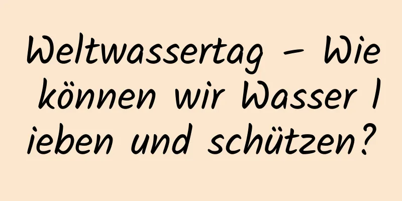 Weltwassertag – Wie können wir Wasser lieben und schützen?