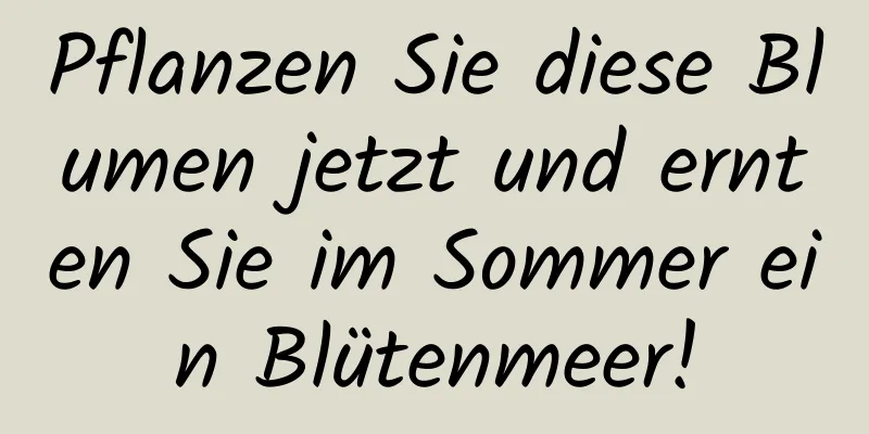 Pflanzen Sie diese Blumen jetzt und ernten Sie im Sommer ein Blütenmeer!