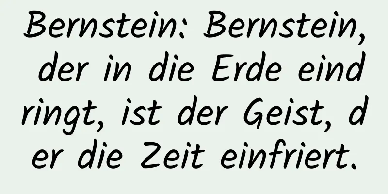 Bernstein: Bernstein, der in die Erde eindringt, ist der Geist, der die Zeit einfriert.