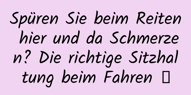 Spüren Sie beim Reiten hier und da Schmerzen? Die richtige Sitzhaltung beim Fahren →